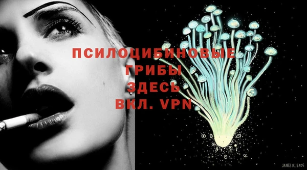 Альфа ПВП Алексеевка