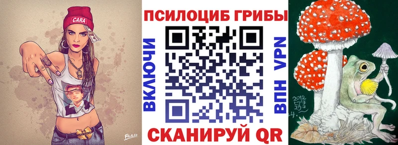 Галлюциногенные грибы мицелий  Купить закладки  Чебоксары 